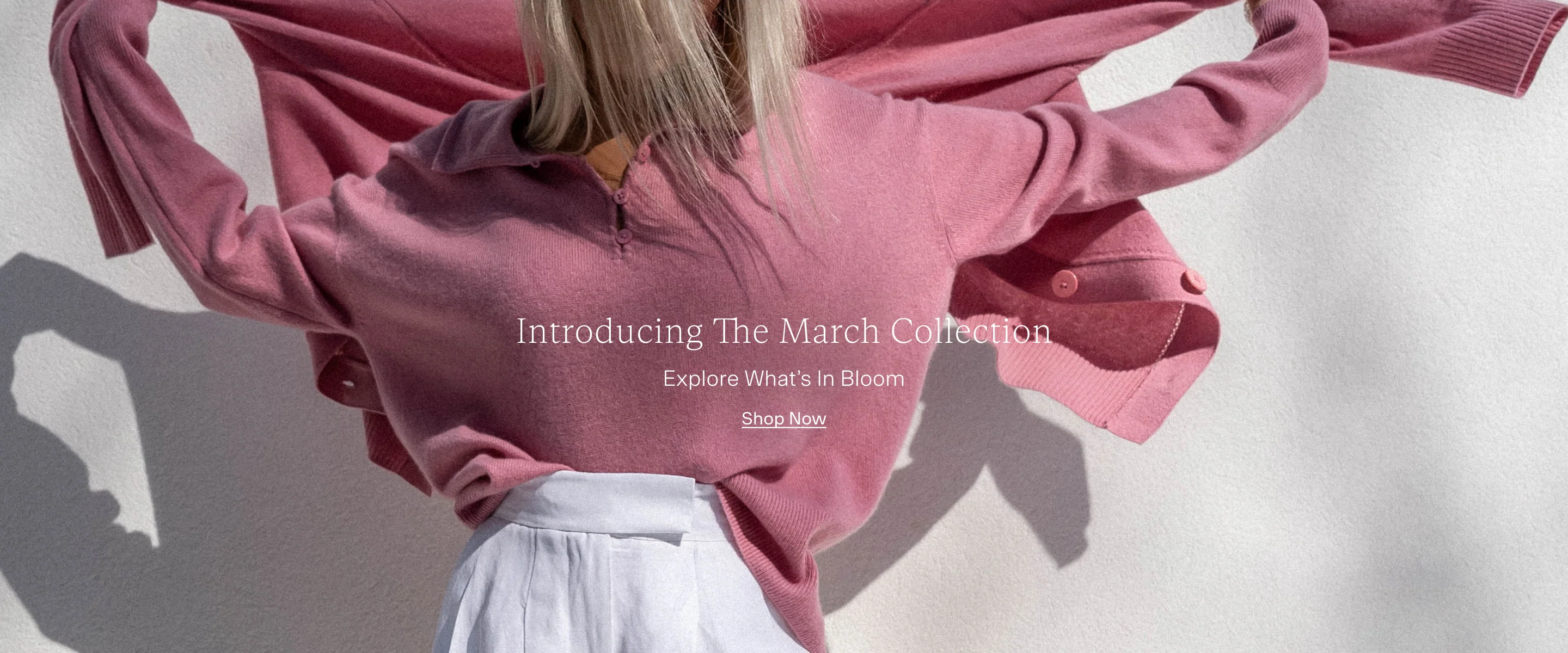 Welcome to Our Store